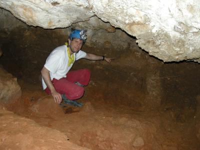 Rolf Quam, Binghamton University