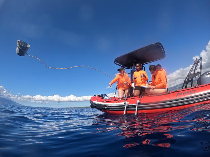 Professor Claire Gwinnett collecting samples