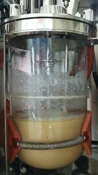 Making Xylitol and Cellulose Nanofibers from Paper Paste (2 of 2)