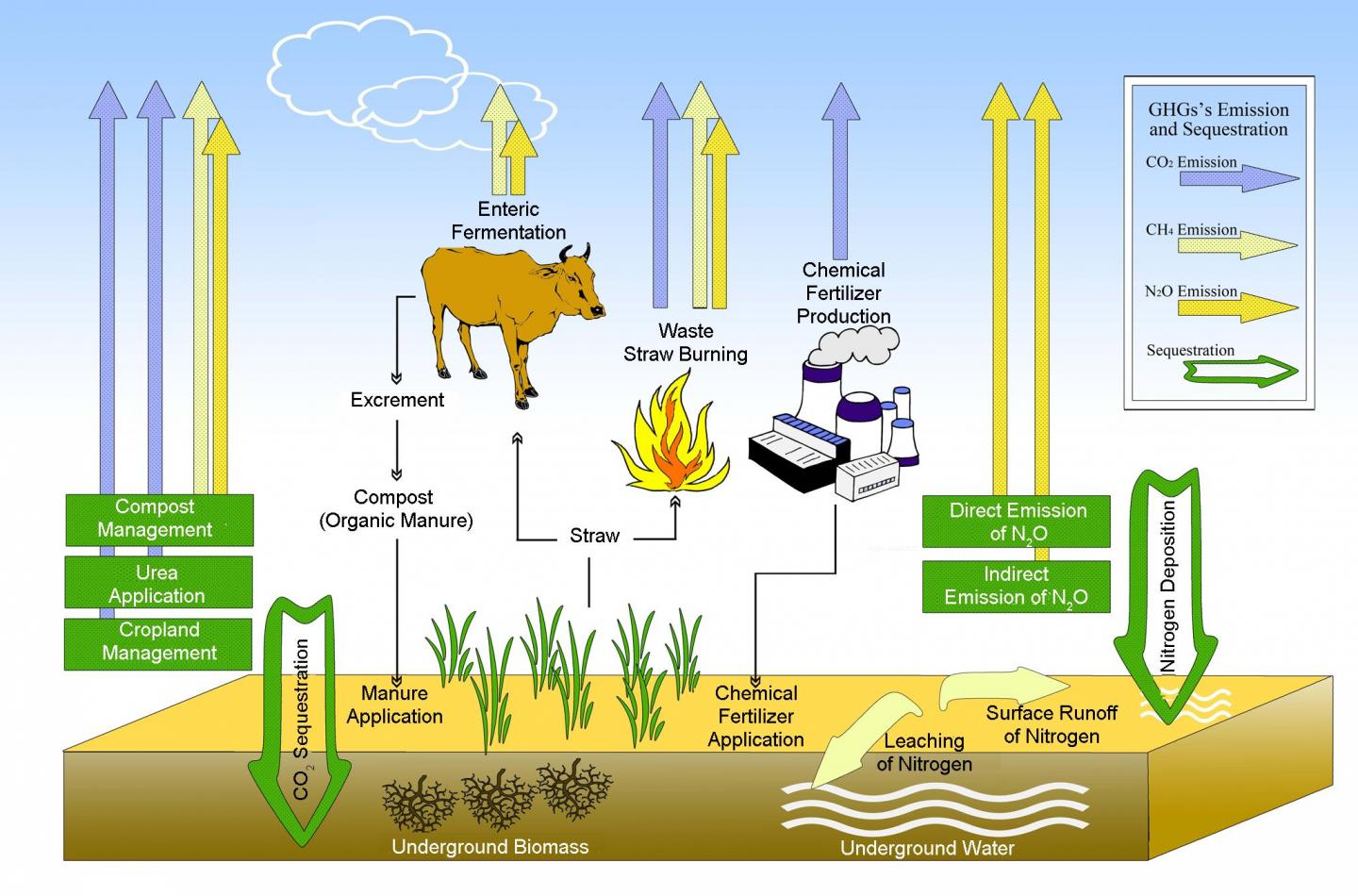 Processes of Greenhouse Gases Emission