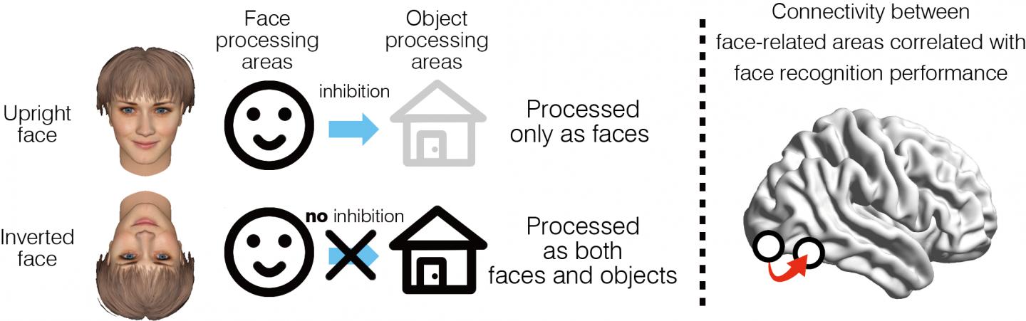 Suppression of Object Recognition Area