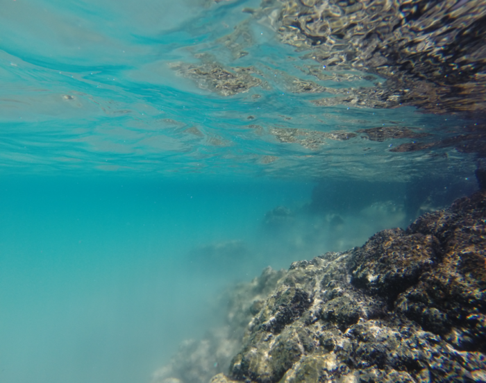 Groundwater floating over seawater
