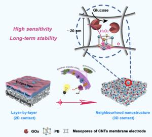 Schematic diagram of developing 3D mesoporous biosensing-membrane with neighborhood nanostructures as inspied by the structure of cytomembrane