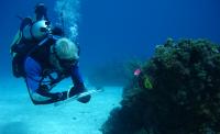 Reef Research in Bahamas