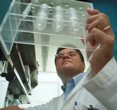 Dr. Anatolij Horuzsko, Medical College of Georgia