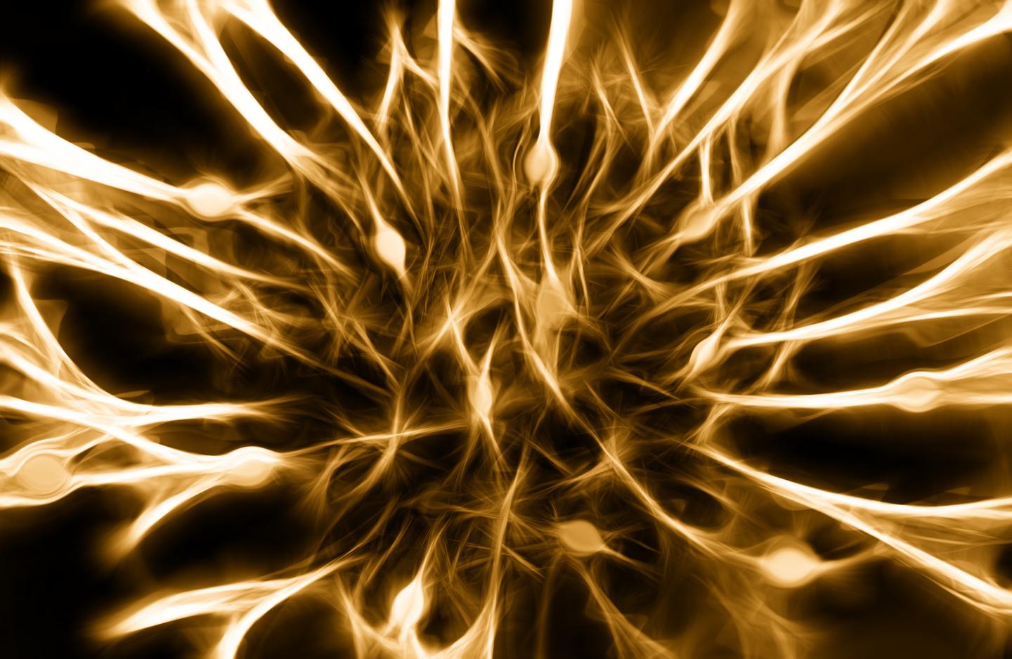 Neuron-Integrated Nanotubes to Repair Nerve Fibers
