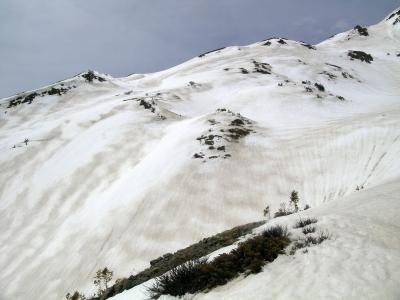 Zebra Stripes of Dust and Snow