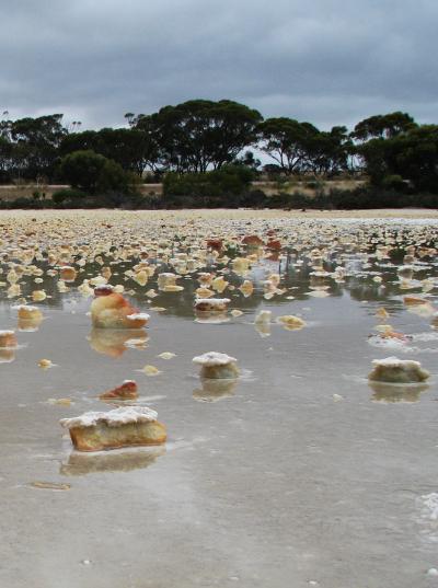 Shallow Acid Saline Water in Gneiss Lake, near Grass Patch in Western Australia