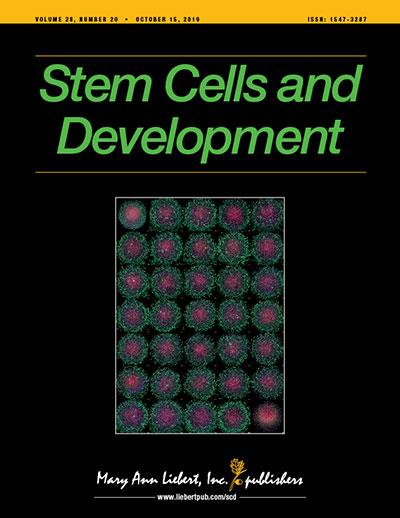 Stem Cells and Development