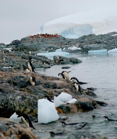 Glacial Melt