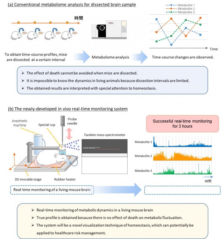 Differences Between Conventional Metabolome Analysis and the Newly Developed in Vivo Real-Time Monit
