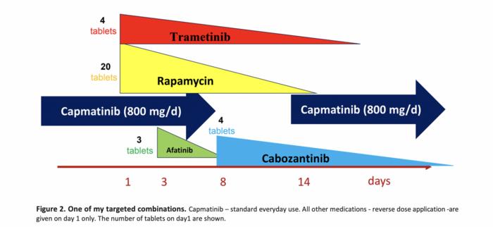 Targeted cancer therapy: the initial high concentration may slow down the selection for resistance