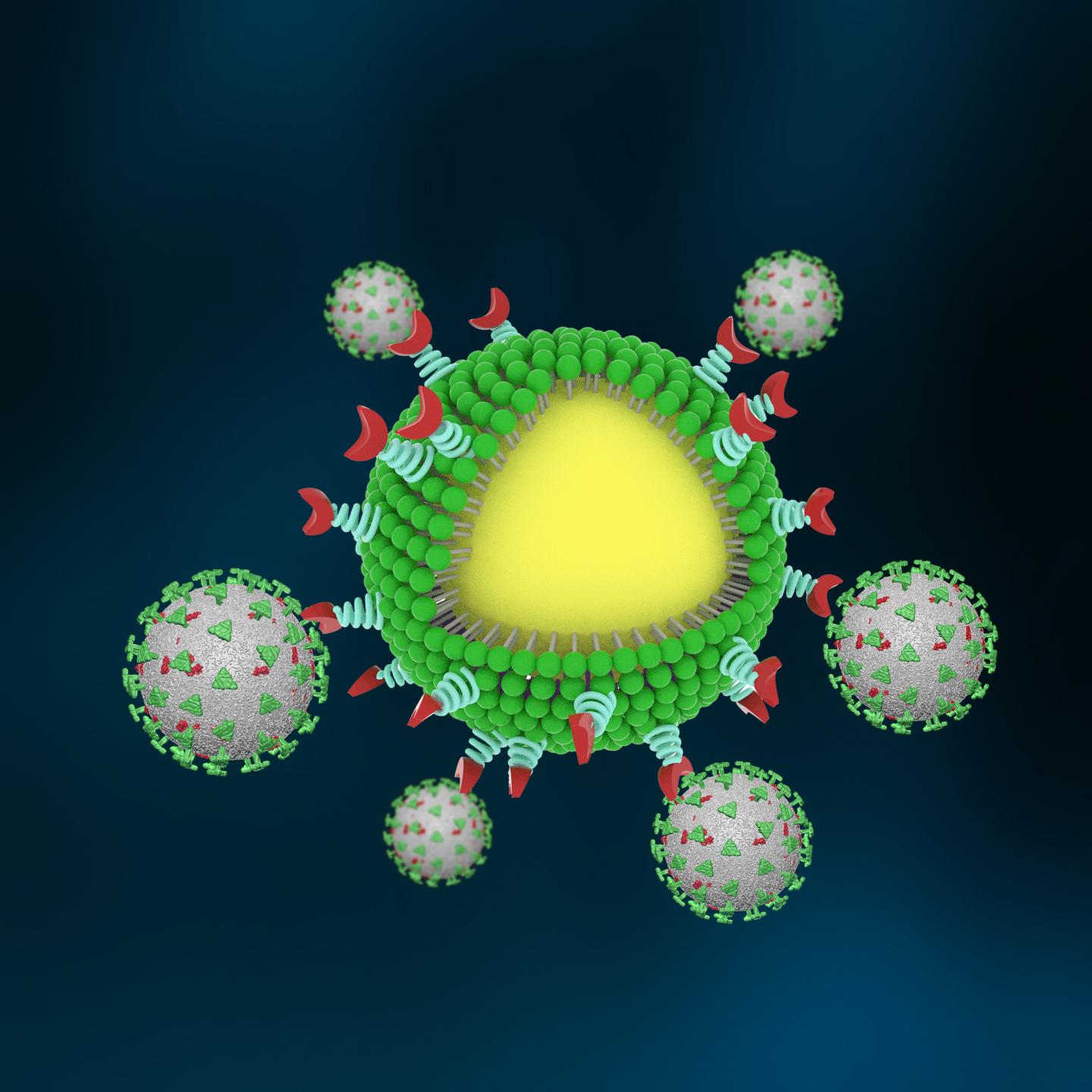 SEM Image of Nanotrap