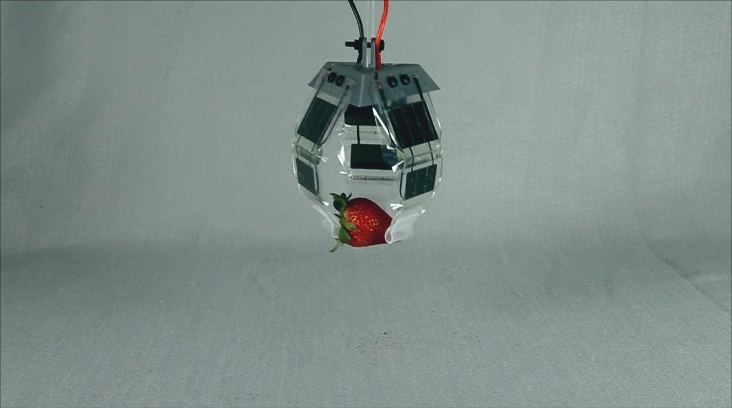 Gripper_strawberry