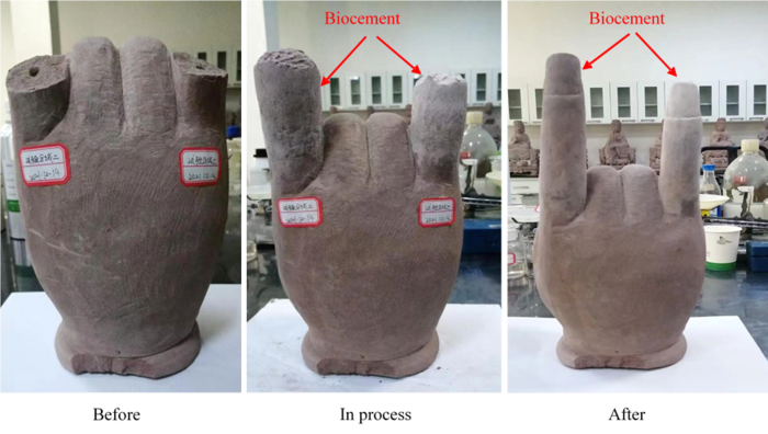 NTU Singapore scientists create renewable biocement made entirely from waste materials