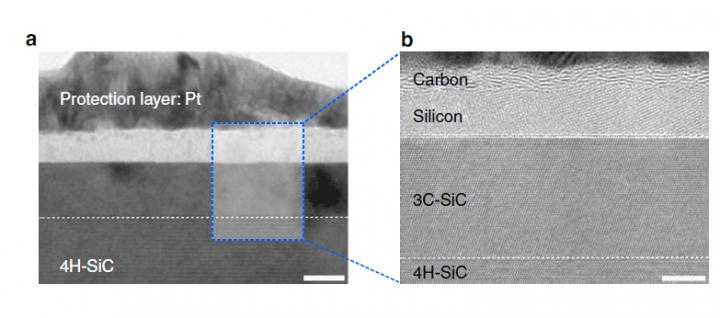 Silicon Carbide Separated into a Carbon and a Silicon Layer after One Pulse