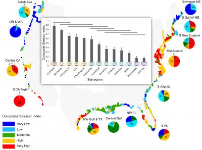 Estuary Assessment -- Composite Stressor Index