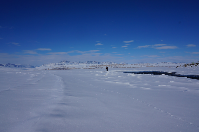 Climate change could make High Arctic fertile ground for emerging pandemics: uOttawa study