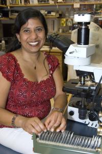 Indira Mysorekar, Washington University School of Medicine