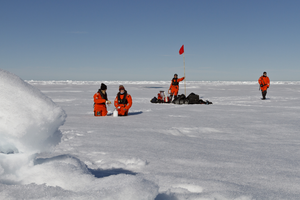 Sampling Arctic Sea Ice