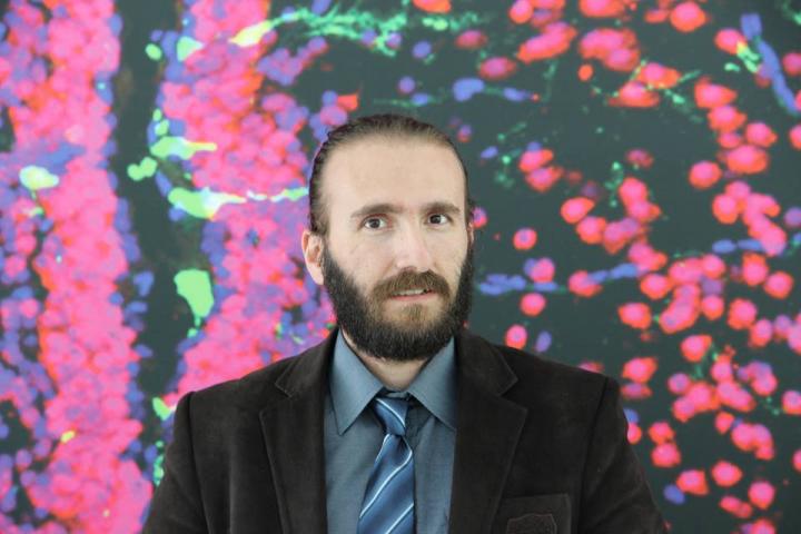 Caghan Kizil, Ph.D., Technische Universität Dresden