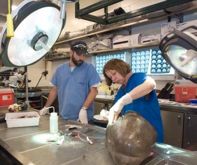 Scott Cramer, Darlene Ketten, Woods Hole Oceanographic Institution