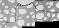 2D Phosphorene Nanoribbons on TEM Grid