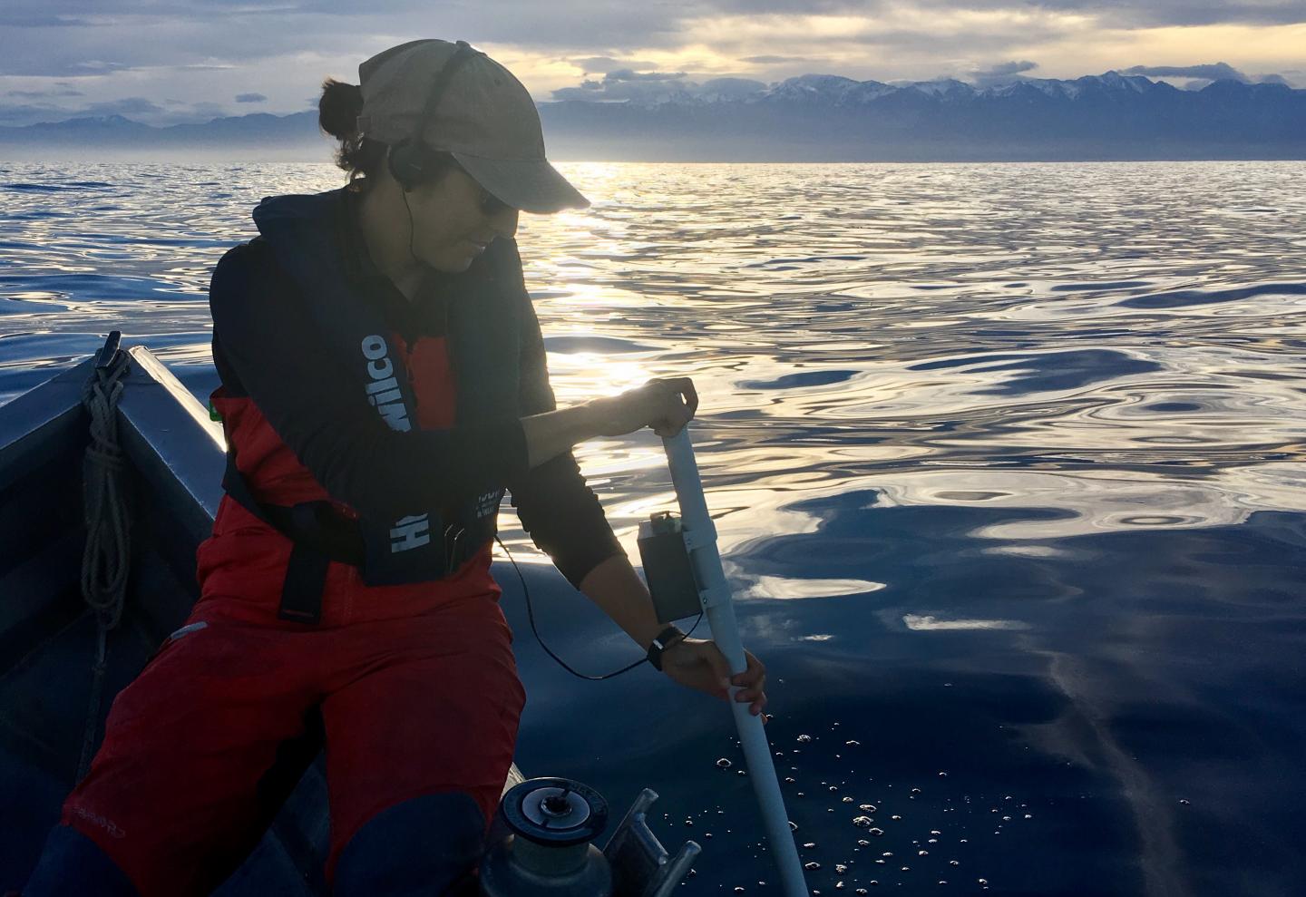 Dr. Marta Guerra Tracking Sperm Whales
