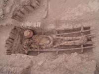 Ancient DNA from Human Remains in Lima