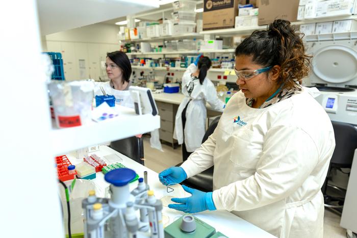 McDevitt Lab staff working at the bench at the Doherty Institute