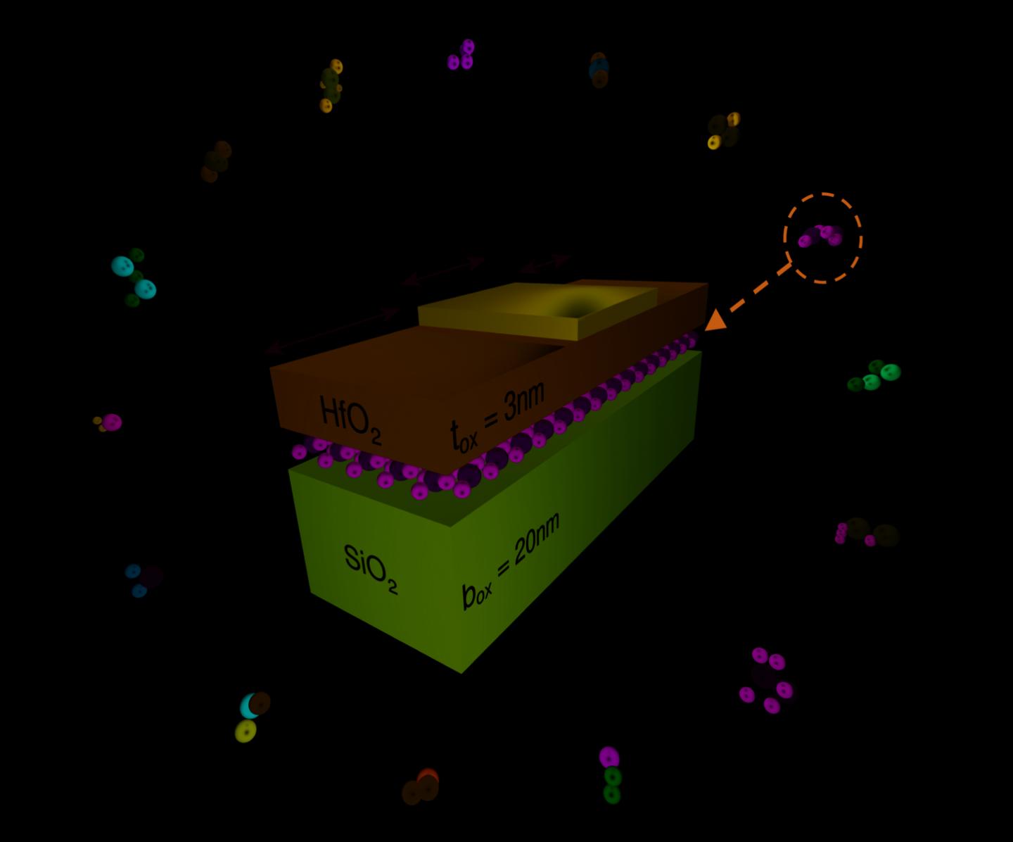 Structure of a Single-Gate FET with a Channel Made of a 2D Material