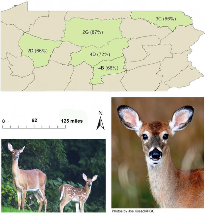 deer map