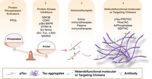 Phosphorylated tau-targeting therapies