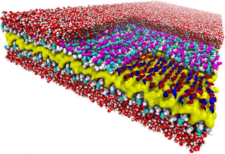 Atomic-Resolution Structure of a Peptoid Nanosheet
