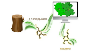 Turning lignin into chemical building blocks