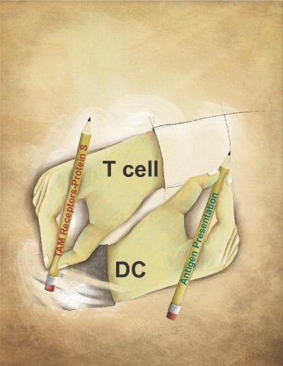 A Negative Feedback Loop Controls Inflammation