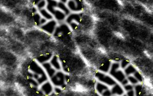 Electron Microscope Image of Rubber with Processed Area