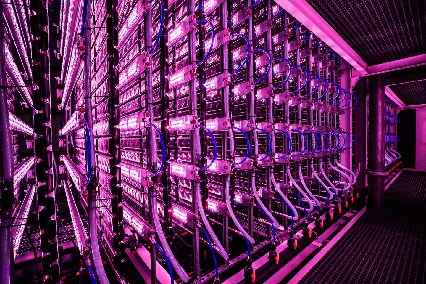 Example future food farming system