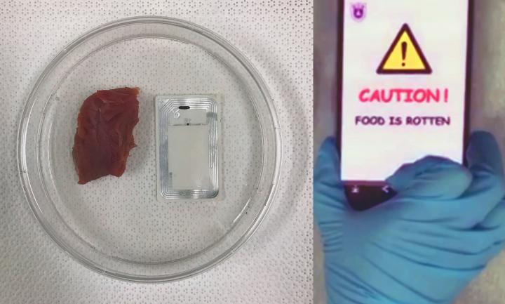 The Ultimate 'Smell Test': Device Sends Rotten Food Warning to Smartphones