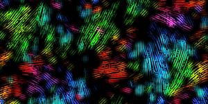 Map of Polymer Chains