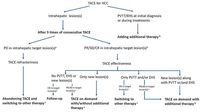 The decision-making algorithm and evaluation strategy for conventional transarterial chemoembolization (TACE) after three or more consecutive TACEs.