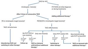 The decision-making algorithm and evaluation strategy for conventional transarterial chemoembolization (TACE) after three or more consecutive TACEs.