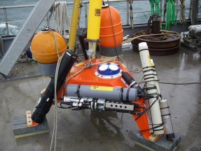 Monitoring Structure