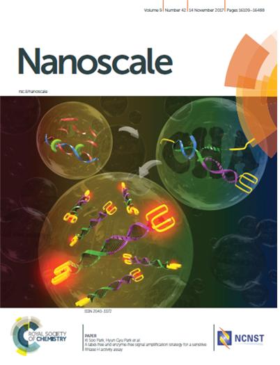 Cover for <i>Nanoscale</i> (Issue 42, 2017)