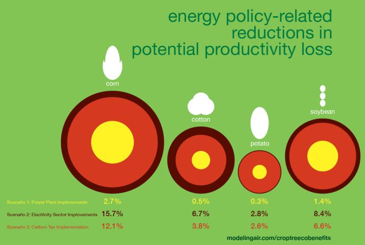 Policy-Related Reduction of Crop Potential Productivity Loss