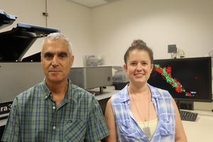 Research team (Left to right) Prof. Uri Ashery and PhD candidate Ofir Sade.