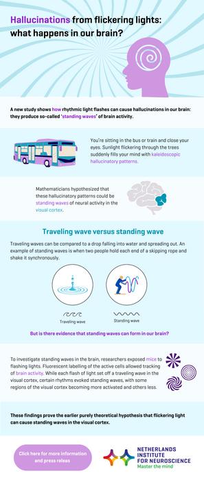 Infographic hallucinations