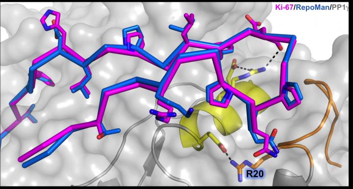 An Unusual Relationship