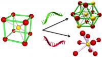 Reprogramming DNA Strands Select New Material phase