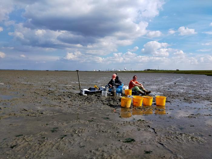 Taking water samples from the erosion experiment in the Oosterschelde. In the photo Alena di Primio and Dunia Rios-Yunes.